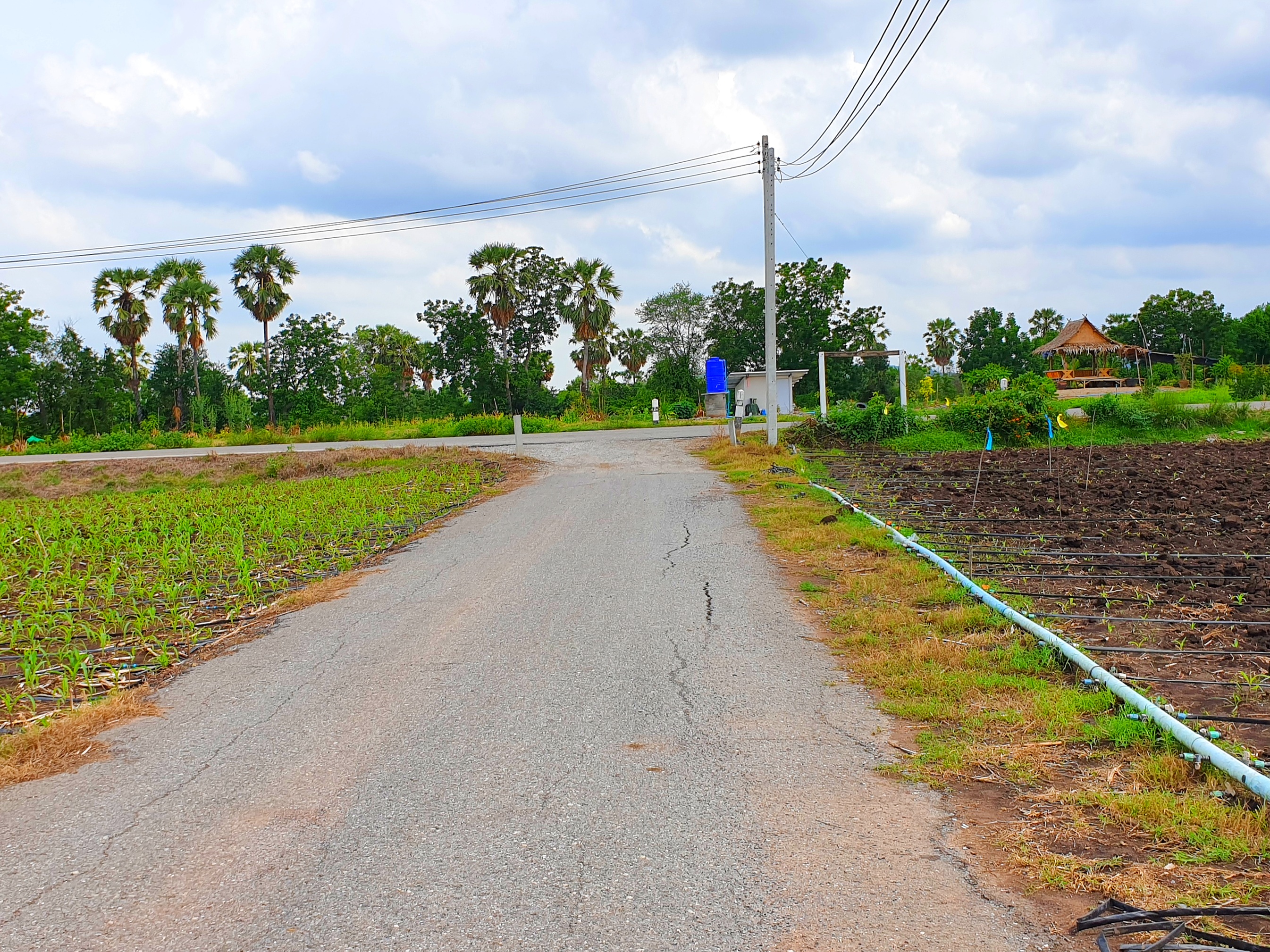 💰ขายแล้ว💰ขายที่ดินสวย ทำเลดี 3 ไร่ 2 งาน อ.อู่ทอง จ.สุพรรณบุรี ติดถนนลาดยาง ท่ามกลางธรรมชาติ วิวภูเขา