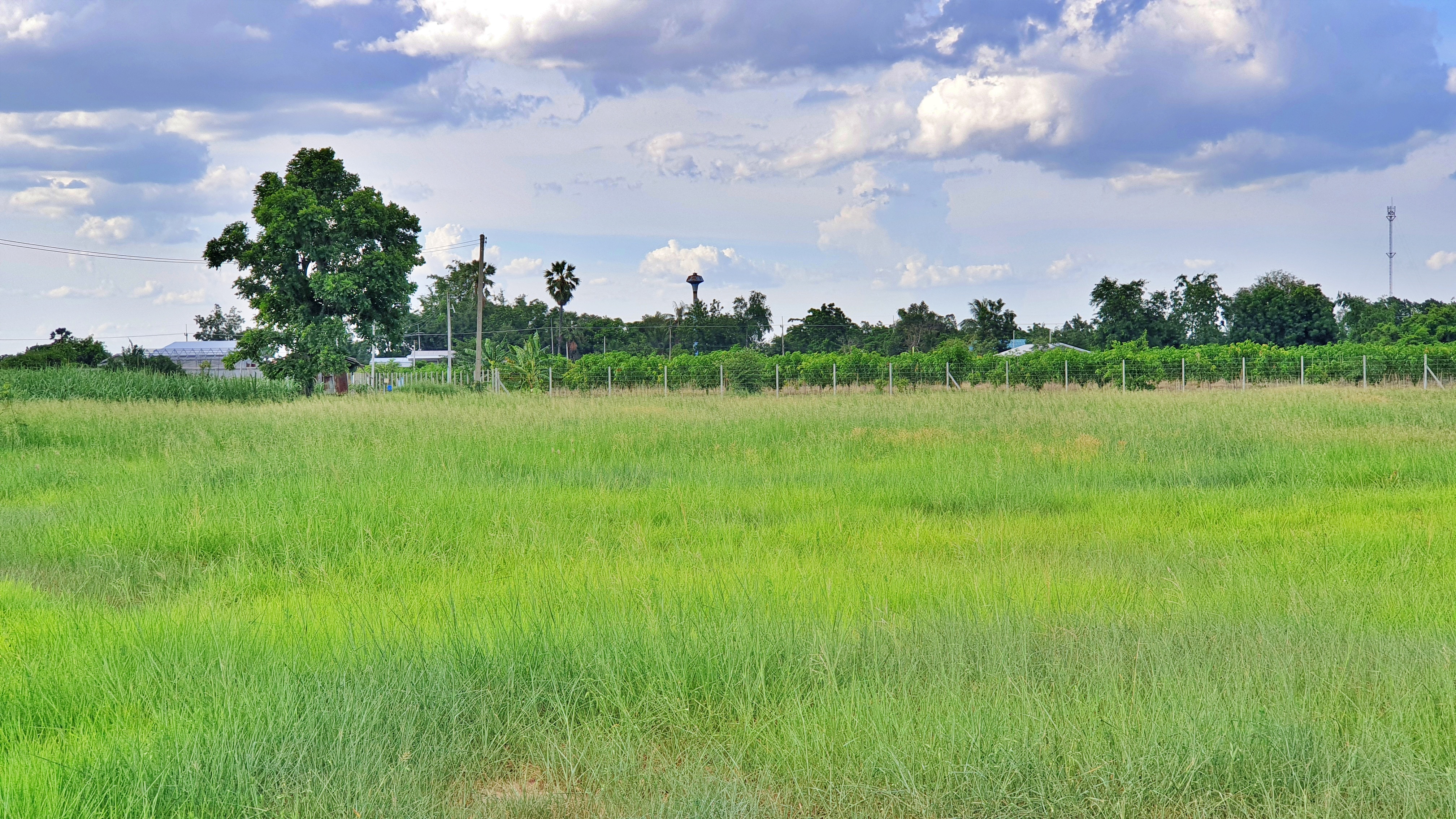 💰ขายแล้ว💰⚜ติดทรัพย์⚜ขายที่ดินแปลงสวย วิวภูเขา บรรยากาศดี อ.อู่ทอง จ.สุพรรณบุรี เนื้อที่ : 34 ไร่ ไร่ละ 2.3 แสน ที่สวยบรรยากาศดี วิวทิวทัศน์สวยงาม วิวภูเขา ใกล้แหล่งชุมชน