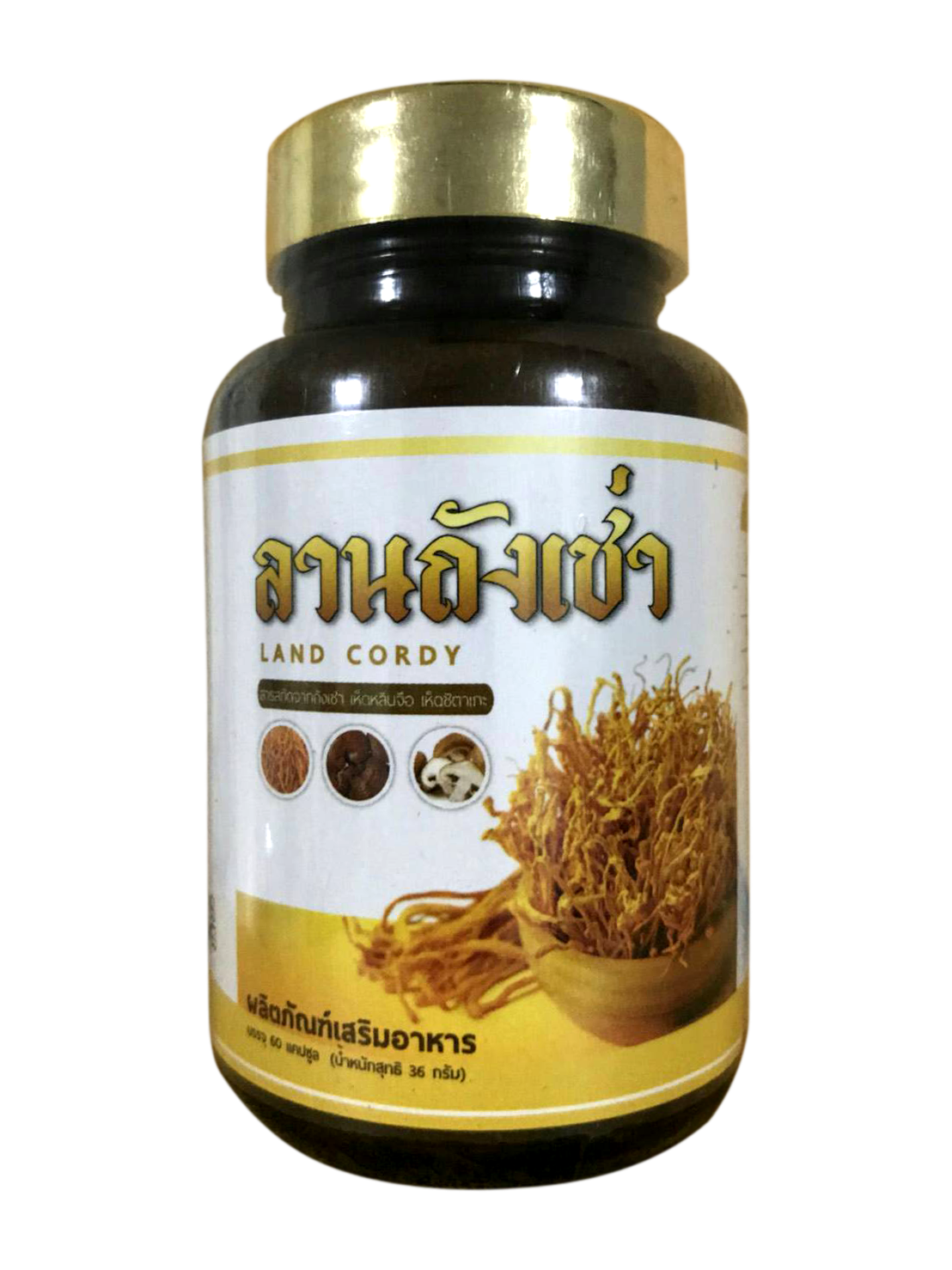 ลานถั่งเช่า LAND CORDY สารสกัดจากถั่งเช่า เห็ดหลินจือ เห็ดชิตาเกะ