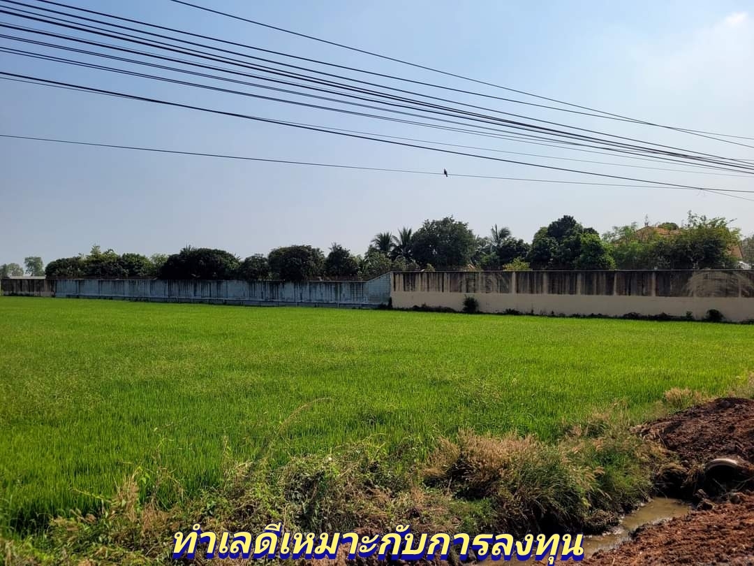 💰ขายแล้ว💰ขายที่ดินติดถนน 4 เลน ทางหลวงแผ่นดิน 333 อ.อู่ทอง - สระกระโจม จ.สุพรรณบุรี เนื้อที่ 8 ไร่ 3 งาน ขายยกแปลง 14 ล้าน หน้ากว้างติดถนน 182 เมตร ที่ดินอยู่ฝั่งขาเข้าไป อ.อู่ทอง ทำเลดี ที่สวย เหมาะกับการลงทุนหรือทำปั๊มน้ำมัน คาเฟ่