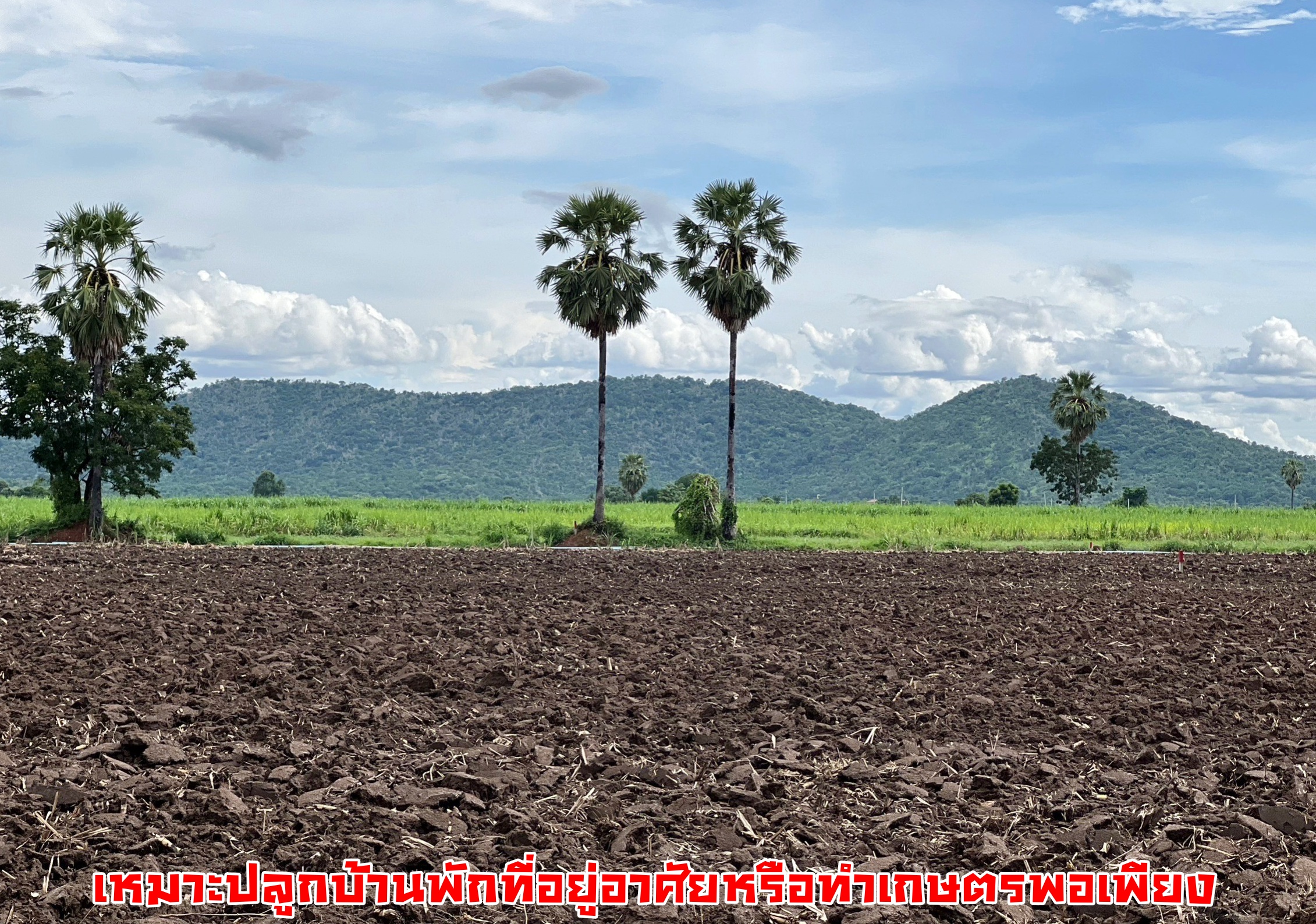 💰ขายแล้ว💰ขายที่ดินวิวเขา อ.อู่ทอง จ.สุพรรณบุรี เนื้อที่ 7 ไร่3 งาน ใกล้กรุงเทพ 110 ก.ม. ใกล้ตลาดอู่ทอง ใจกลางชุมชน ที่สวย บรรยากาศดี วิวทิวทัศน์สวยงาม ราคาถูก ใกล้ตลาดอู่ทอง ไฟฟ้าประปาครบครัน