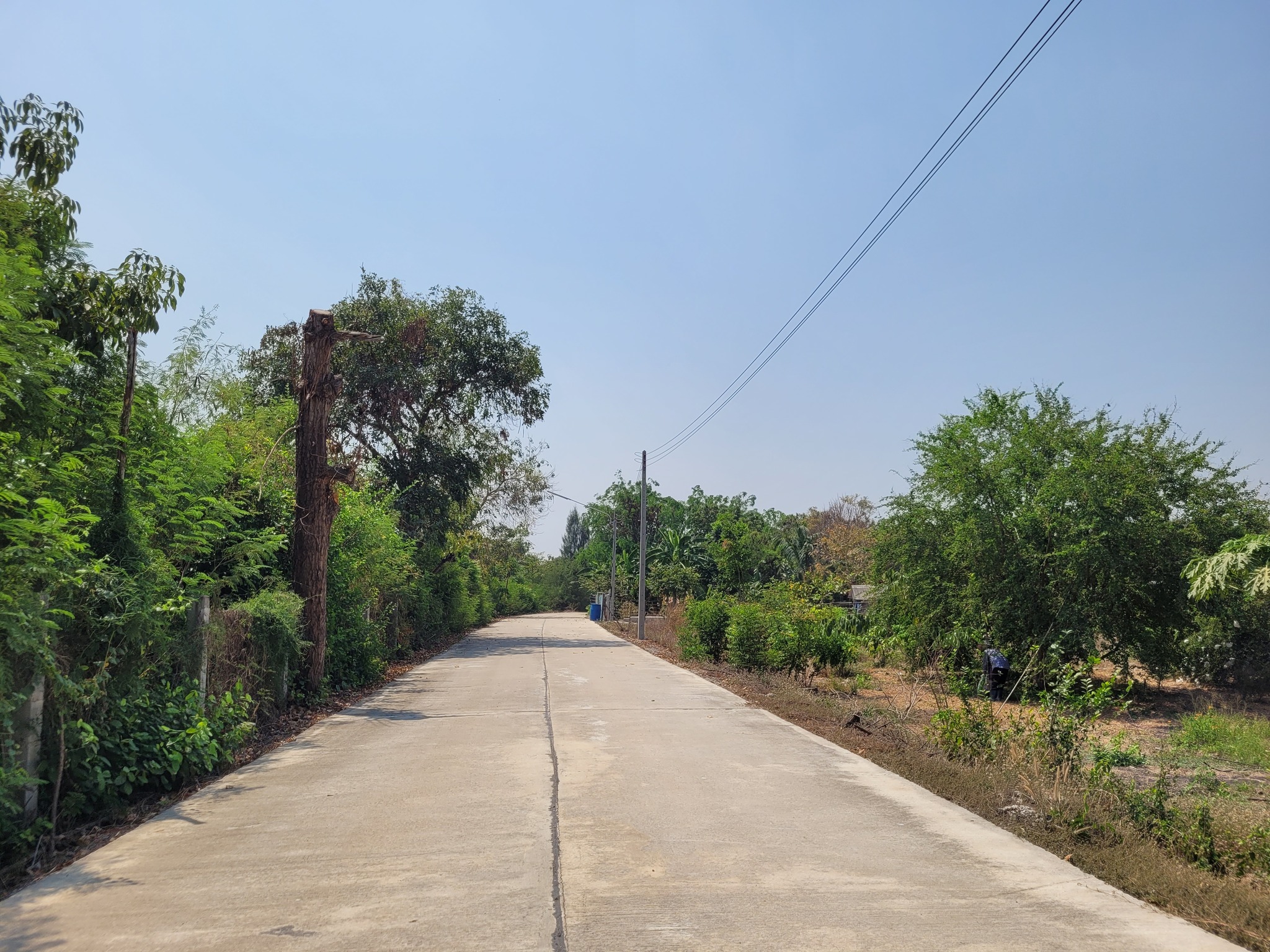 ปิดการขาย ขายที่ดินแปลงสวย วิวภูเขา อ.อู่ทอง จ.สุพรรณบุรี ใกล้ตลาดสีเขียว สวนสวรรค์สุพรรณบุรี เนื้อที่: 19 ไร่ 2 งาน 73 ตารางวา • ราคา: 3,340,000 บาท บรรยากาศดี