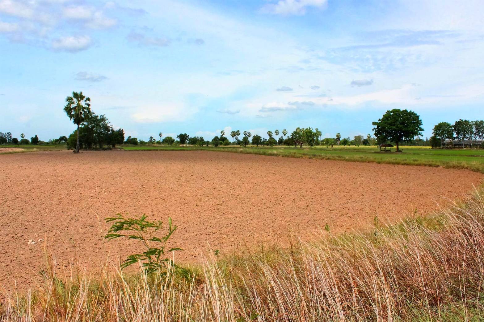ขายที่ดินแปลงสวย อ. อู่ทอง จ.สุพรรณบุรี ดินดี ที่สวย เนื้อที่ 4-3-95 ไร่ ขายยกแปลง 1,250,000 บาท อยู่ใกล้ชุมชน เซเว่น รร วัด ตลาดนัด จากถนนทางหลวง 333 ประมาณ 900 เมตร