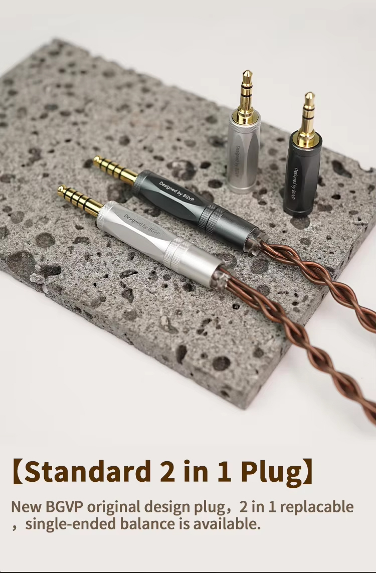 BGVP NS10Pro หูฟัง IEMs 10 ไดรเวอร์ 8BA+2DD สายชุบเงิน เปลี่ยนท่อนำเสียงได้ รองรับ Hi-Res ประกันศูนย์ไทย