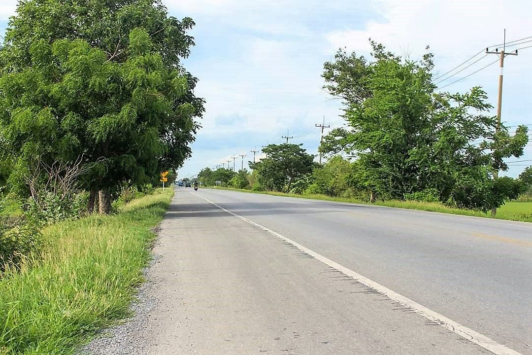 💰ขายแล้ว💰ที่ดินแปลงสวย เนื้อที่ 2-1-55 ไร่ ติดถนนทางหลวง 333 อ.อู่ทอง จ.สุพรรณบุรี น้ำท่าอุดมสมบูรณ์ ไฟฟ้า 3 เฟส