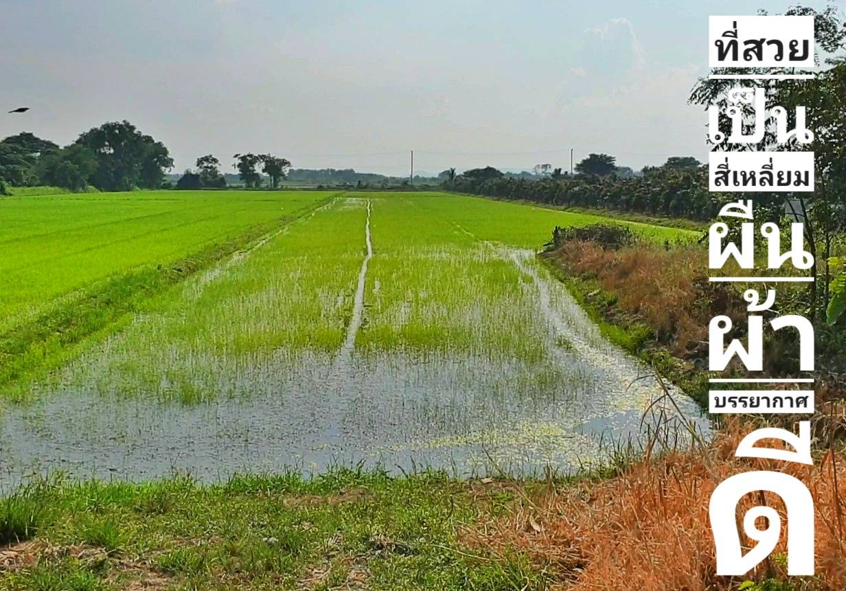 💰ขายแล้ว💰ขายที่ดินแปลงสวย ทำเลดี ติดถนนลาดยาง อ.เมือง จ.สุพรรณบุรี เนื้อที่ 5 ไร่ บรรยากาศดี วิวทิวทัศน์สวยงาม สงบร่มรื่น อยู่ในเขตชุมชน