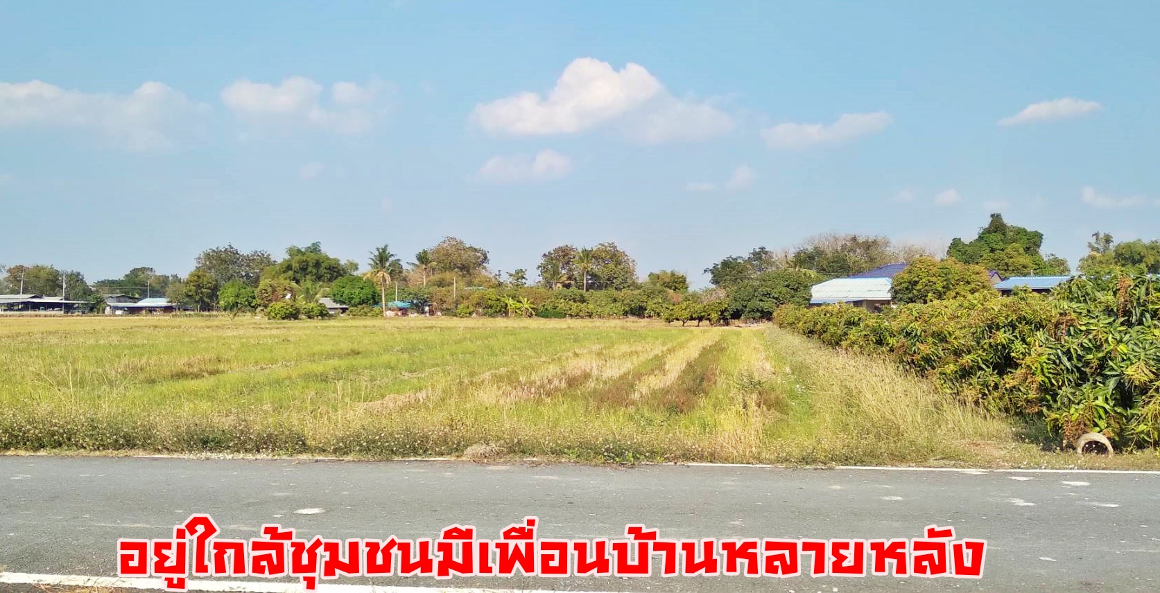 💰ขายแล้ว💰ขายที่ดินสวย ทำเลดีติดถนน อ.เมือง จ.สุพรรณบุรี เนื้อที่ 2 ไร่ ข ายยกแปลง 1,100,000 บาท ที่ดินติดถนนลาดยาง อยู่ใกล้คลองชลประทาน คลองมะขามเฒ่า-อู่ทอง ห่าง 150 เมตร ใกล้ถนนทางหลวงชนบท สพ 4059 เส้นไปดอนเจดีย์ห่าง 150 เมตร