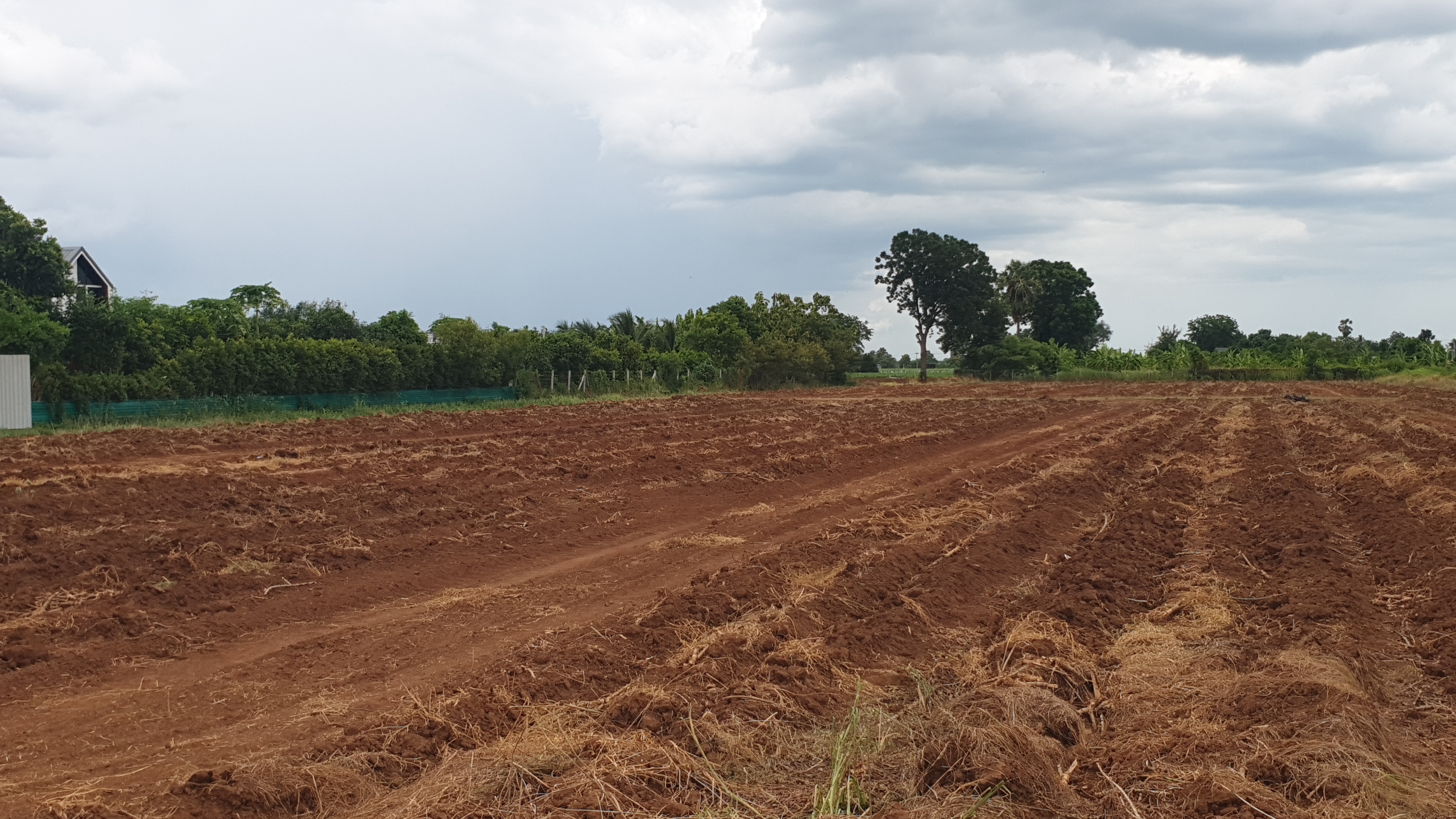 ขายที่ดินวิวภูเขา 180° อ.อู่ทอง จ.สุพรรณบุรี ใกล้แลนด์มาร์คสำคัญใน อ.อู่ทอง เนื้อที่: 16 ไร่ 1 งาน 26.8 ตร.ว. | ราคาไร่ละ 308,888 บาท ต.พลับพลาไชย อ.อู่ทอง จ.สุพรรณบุรี