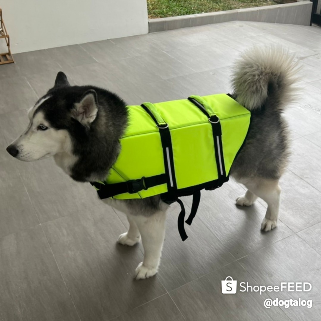เสื้อชูชีพสุนัข Dogtalog เบอร์ XL