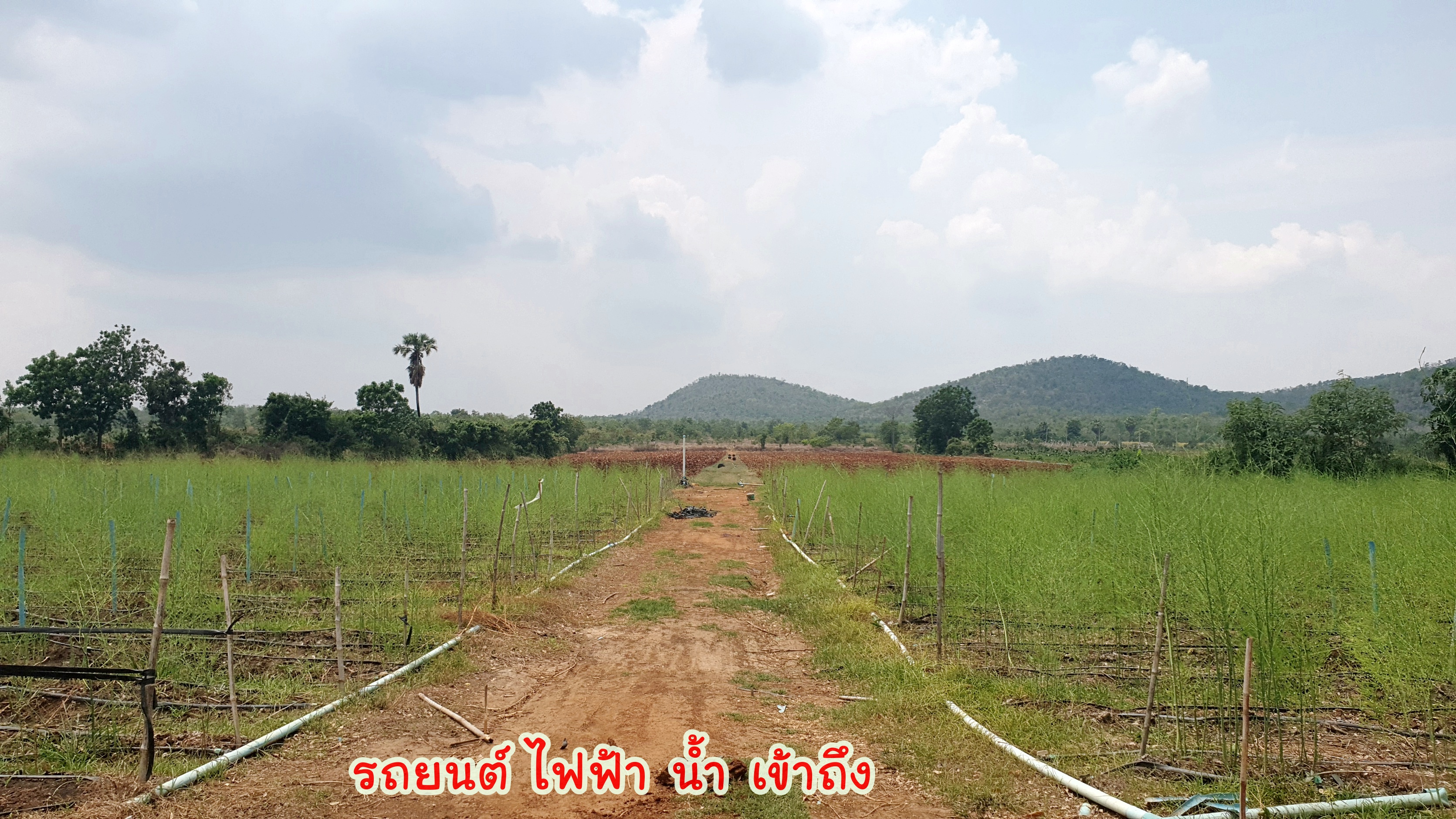 💰ขายแล้ว💰 ขายที่ดินวิวภูเขา เนื้อที่ 9 ไร่ 2 งาน ภูเขาล้อมรอบ บรรยากาศดี วิวทิวทัศน์สวยงาม ขายถูก ราคาหลักแสน วิวหลักล้าน มีบ่อบาดาลให้ 2 ลูก มีน้ำใช้ตลอดทั้งปี