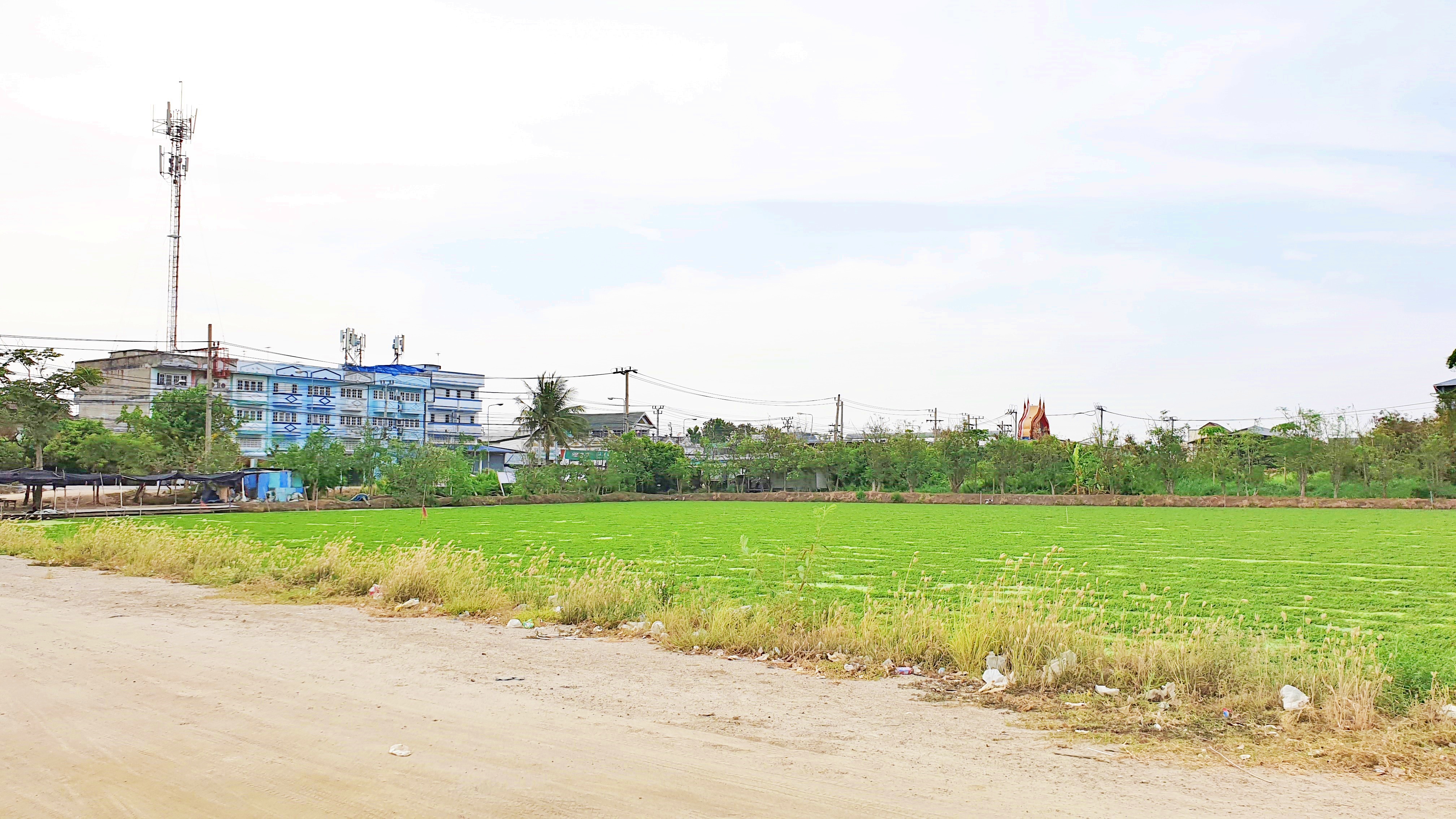 ขายที่ดินแปลงสวย ทำเลดี ติดถนนใหญ่ 4 เลน ถนนวัดศรีวารีน้อย บางนาตราด กม. 17 ลาดกระบัง 54 ขนาดที่ดิน 2 ไร่ 3 งาน 97 ตรว (ตรว.ละ45,000 บาท) หน้ากว้างติดถนนใหญ่ 65 เมตร ที่ดินสวยเป็นรูปทรงสี่เหลี่ยมจัตรัส การเดินทาง สะดวก สบาย สามารถเข้าออกได้ 2 ทาง ถนนบางนา