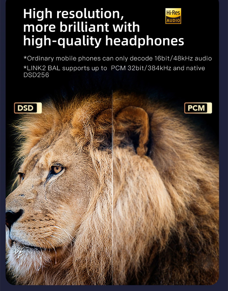 ขาย XDUOO Link2 Bal MAX USB DAC/AMP พกพา กำลังขับสูง ประกันศูนย์ไทย