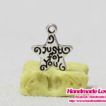 จี้,ตัวห้อยซิป สีนิเกิล ดาว