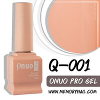 Q-001