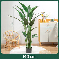 ขนาด 140 cm.