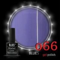 สีเจลทาเล็บ BLUES รหัส 066