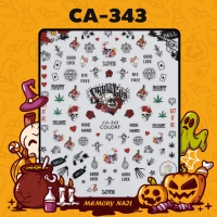CA-343