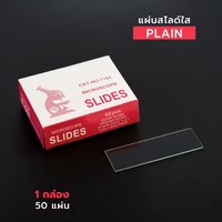 สไลด์ใส