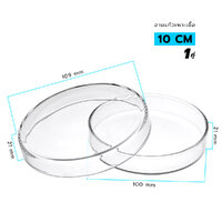 10 cm