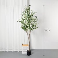 180 cm.