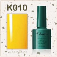 K010