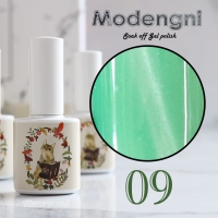 สีเจล แม่เหล็ก Modangni รหัส 09