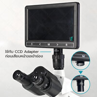 หน้าจอแบบใช้กับ Adapter