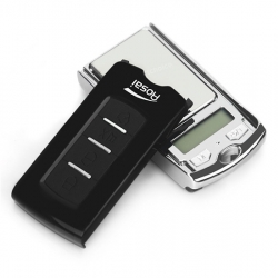 เครื่องชั่งอัญมณี แบบพวงกุญแจจิ๋ว 100g/0.01g (NS-100)