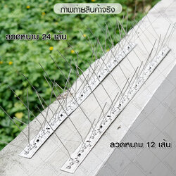 หนามกันนกเกาะแบบเส้นฐาน (stainless)