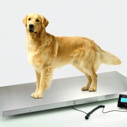 เครื่องชั่งน้ำหนักสัตว์เลี้ยง max 300kg0.1kg 53x103cm (NS-PS2)