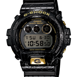 นาฬิกา คาสิโอ Casio G-Shock Limited model รุ่น DW-6900CR-1DR