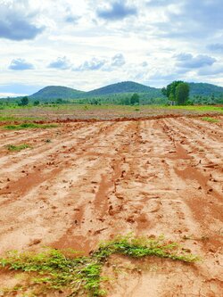 💰ขายแล้ว💰ขายที่ดินสวยราคาถูก อ.อู่ทอง จ.สุพรรณบุรี ดินดี ที่สวย บรรยากาศดี วิวภูเขา เนื้อที่ 16 ไร่ ไร่ละ 180,000 บ. อยู่ใกล้ชุมชน วัด ตลาดนัด ร้านค้า โรงเรียน