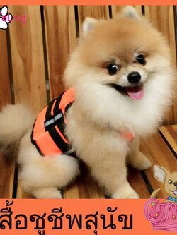 เสื้อชูชีพสุนัขแบบเสื้อกล้าม : สีส้ม