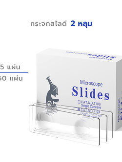 กระจกสไลด์ Microscope แบบ 2 หลุม Double Concave