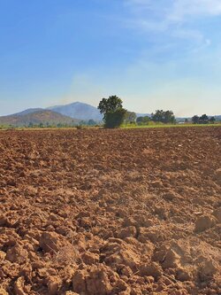 💰ขายแล้ว💰ขายที่ดิน อ.อู่ทอง จ.สุพรรณบุรี วิวภูเขา วิวร้อยล้าน ขายราคาหลักแสน เนื้อที่ 17 ไร่ ไร่ละ 180,000 บ. ดินดี ที่สวย บรรยากาศดี วิวภูเขารอบทิศ อยู่ใกล้ชุมชน วัด ตลาดนัด ร้านค้า โรงเรียน ด้านหน้าติดถนนทางสาธารณประโยชน์ สาธารณูปโภค