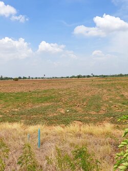 💰ขายแล้ว💰ขายที่ดินราคาถูก สุพรรณบุรี อ.อู่ทอง ดินดี ที่สวย เนื้อที่ 13 ไร่ ไร่ละ 290,000 บาท แบ่งขาย 6 ไร่ ที่ดินติดถนนทางหลวงชนบท 3019 บรรยากาศดี วิวสวย วิวภูเขา