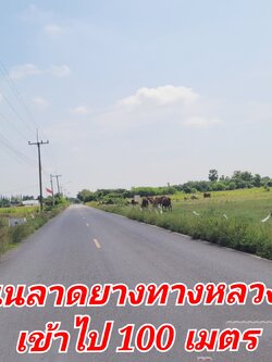 ขายด่วน! ที่ดินทำเลทอง วิวสวย ใกล้ชิดธรรมชาติ ที่ดิน 2 ไร่ บรรยากาศสุดฟิน วิวภูเขาเตะตา ไร่ละ 499,990 บาท (รวมค่าโอนและภาษีทั้งหมด) ต.พลับพลาชัย อ.อู่ทอง จ.สุพรรณบุรี ทำเลดีเยี่ยม: ติดถนนคอนกรีตขนาดกว้าง รถสวนกันได้สะดวก