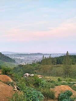 ขายที่ดินโฉนดที่ราบเนินเขา วิวสวยระดับ 5 ดาว ชลบุรี ศรีราชา เนื้อที่ 205 ไร่ ขายยกแปลง 100 ล้าน วิวสวยระดับเกรด A ใน อ.ศรีราชา จ.ชลบุรี