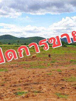 💰ขายแล้ว💰ขายที่ดินสวย วิวภูเขา ติดถนนลาดยาง อ.อู่ทอง จ. สุพรรณบุรี เนื้อที่ 10 ไร่ ขายยกแปลง 2.9 ล้าน (พร้อมค่าโอน)