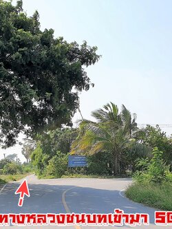 💰ขายแล้ว💰ขายสวนมะม่วงน้ำดอกไม้สีทอง ใกล้คลองชลประทาน ติดถนนราดยาง อ.เมือง จ.สุพรรบุรี เนื้อที่ 3 ไร่ 75 ตรว ขายยกแปลง 1,750,000 บาท (พร้อมค่าโอน) มะม่วงน้ำดอกไม้สีทอง ประมาณ 300 ต้น มะม่วง 5 ปี หน้ากว้างติดถนน 30 เมตร ลึก 200 เมตร