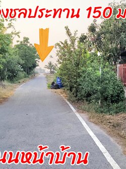 ขายบ้านพร้อมสวนมะม่วง 3 ไร่ ราคา: 3.5 ล้านบาท ติดถนนลาดยาง อ.เมือง จ.สุพรรณบุรี โอกาสทองสำหรับผู้รักบ้านสวน! กำลังมองหาบ้านพร้อมสวนผลไม้ บรรยากาศดี ร่มรื่น สงบ