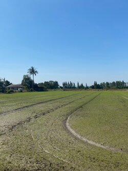 💰ขายแล้ว💰ขายที่ดินติดถนนลาดยาง อ.เมือง จ.สุพรรณบุรี 4 ไร่ 56 ตรว ทำเลดี ที่สวย บรรยากาศดี วิวทิวทัศน์สวยงาม ขายยกแปลง 1,800,000 บ. ติดถนนทางสาธารณประโยชน์ ลาดยาง 2 ด้าน