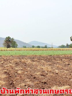 💰ขายแล้ว💰ขายที่ดินแปลงสวย วิวภูเขา เมืองทราวดี อ.อู่ทอง จ.สุพรรณบุรี เนื้อที่ 9ไร่ ไร่ละ 320,000 บ. {ขายยกแปลง}ที่สวย บรรยากาศดี วิวทิวทัศน์สวยงาม ⚜ติดถนนทางสาธารณะ กว้าง 7 เมตร สาธารณูปโภคครบครัน อยู่ใกล้แหล่งชุมชน