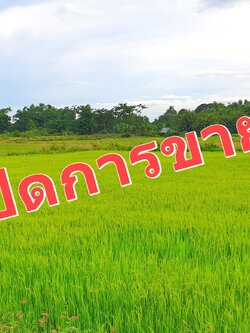 💰ขายแล้ว💰ขายที่ดินแปลงสวยเมืองสุพรรณบุรี ติดถนนใหญ่ 4 เลน เลี่ยงเมืองสุพรรณบุรีสาย 357 เนื้อที่ 6 ไร่ 1 งาน ที่สวย ทำเลทอง