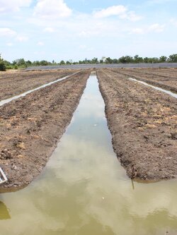 🍄ติดทรัพย์🍄ขายที่ดิน อ.อู่ทอง สุพรรณบุรี ใกล้สวนสวรรค์ ตลาดสีเขียวสุพรรณบุรี 37 ไร่ 1 งาน 93 ตรว ขายยกแปลง 9 ล้าน สถานที่ท่องเที่ยวชมพืชพันธุ์ดอกไม้ ทุ่งทานตะวัน มีถนนตัดผ่านรอบพื้นที่ ทำทางถนนรอบที่ ให้เรียบร้อย มีบ่อบาดาลในที่ 2 บ่อ มีคล