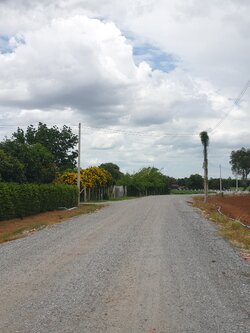 ขายที่ดินสวย 12 ไร่ 2 งาน 53.5 ตร.ว. หน้ากว้างติดถนนสาธารณะ 193 ม. วิวภูเขา 180° อากาศดี เงียบสงบ เหมาะทำบ้านพัก รีสอร์ต หรือเกษตรครบวงจร โอบล้อมด้วยทิวเขา 180° วิวอลังการเต็มตา บรรยากาศธรรมชาติสุดฟิน