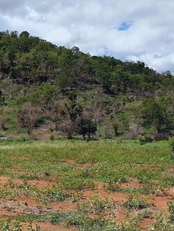 💰ขายแล้ว💰ขายที่ดินแปลงสวย อ.อู่ทอง จ.สุพรรณบุรี พื้นที่ 40 ไร่ ไร่ละ 250,000 บาท ที่ดินวิวสวยขั้้นเทพ วิวภูเขา บรรยากาศดี ติดถนนสาธารณะ 3 ด้าน