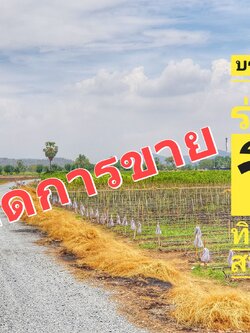💰ขายแล้ว💰ขายที่ดินแปลงสวย ติดถนนลาดยาง อ.อู่ทอง จ.สุพรรณบุรี เนื้อที่ 4-3-35 ไร่ ไร่ตร น้ำ-ไฟ พร้อม ที่สวย บรรยากาศดี วิวทิวทัศน์สวยงาม วิวภูเขา