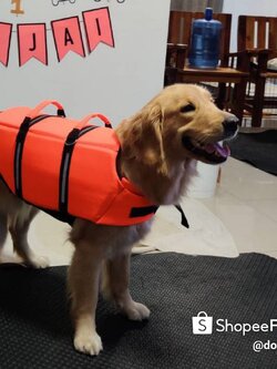 เสื้อชูชีพสุนัข Dogtalog เบอร์ XL