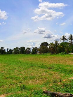 💰ขายแล้ว💰ขายที่ดินแปลงสวย เนื้อที่ 4 ไร่ อ.เมือง สุพรรณบุรี ด้านหน้าติดถนนลาดยาง ที่สวย บรรยากาศดี อยู่ใกล้ชุมชน ไฟฟ้า ปะปา พร้อม